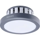 Lampu Downlight LED Philips BY228P LED50 CW / NW / PSU 1
